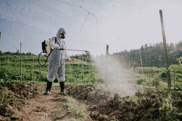 Best Local Pest Control Services  in Cadiz, KY
