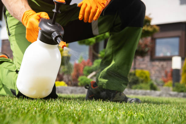 Best Insect Control  in Cadiz, KY