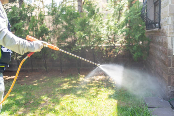 Best Mosquito Control Services  in Cadiz, KY